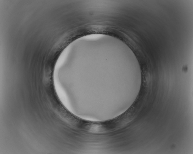 X0000115170507200911251337