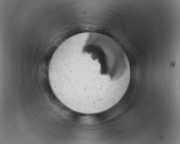 X0000115170511200911251337