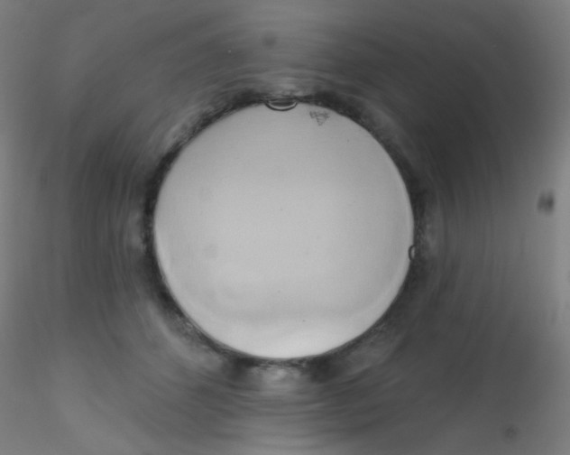 X0000115170512200911251337