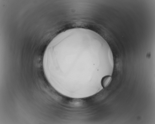 X0000115170514200911251337