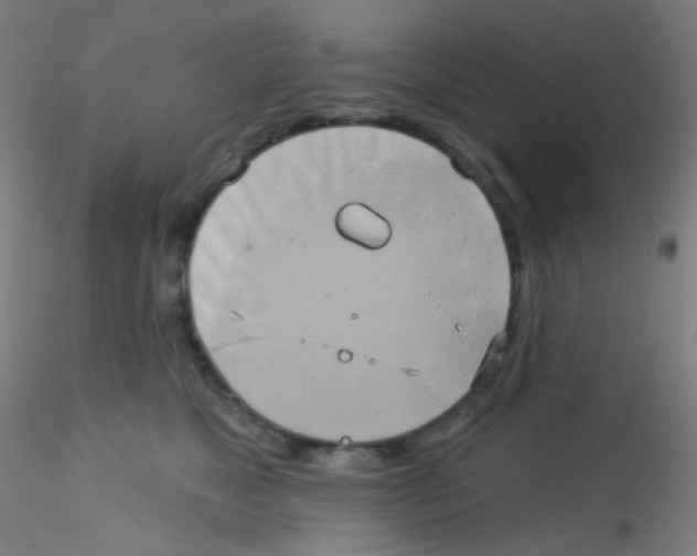 X0000115170517200911251337