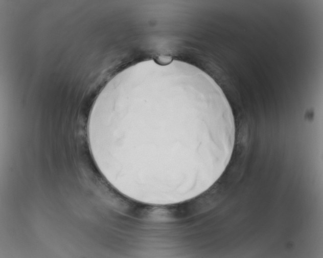 X0000115170518200911251337