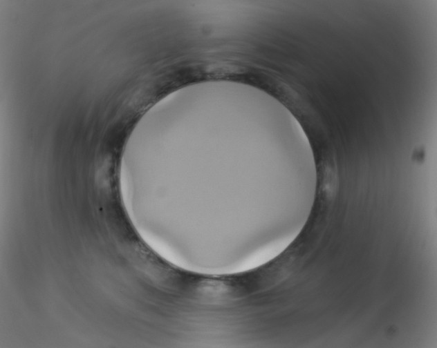 X0000115170519200911251337