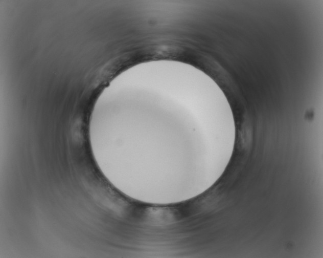 X0000115170520200911251337