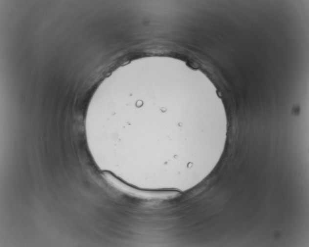 X0000115170521200911251337