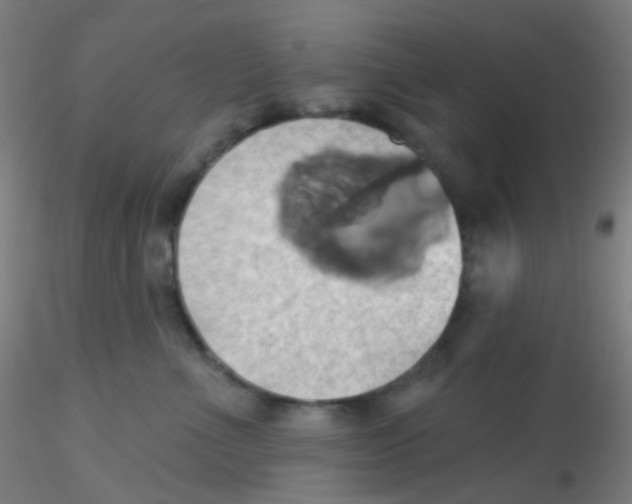 X0000115170523200911251337