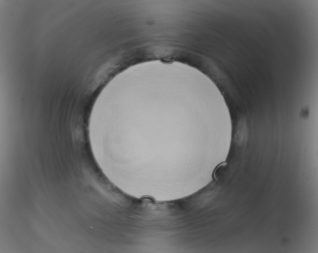 X0000115170524200911251337