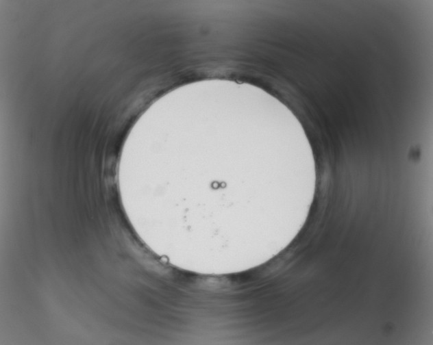 X0000115170525200911251337