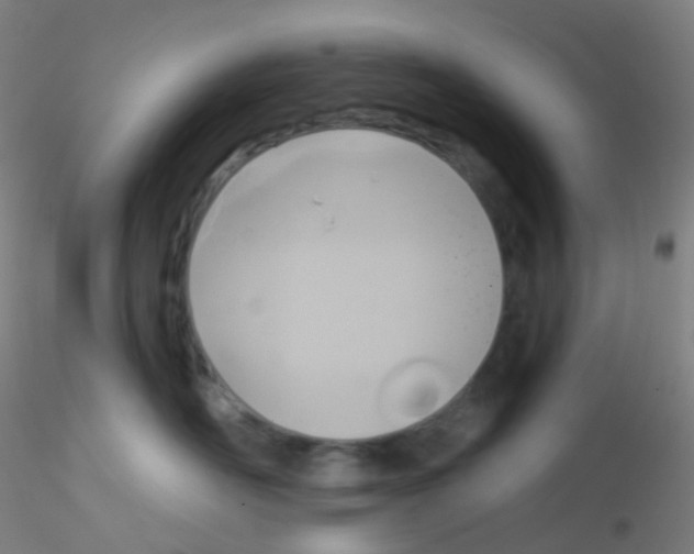 X0000115170526200911251337