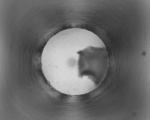 X0000115170527200911251336