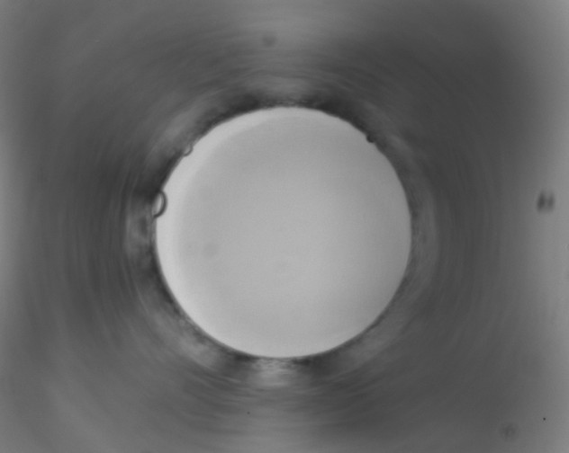 X0000115170528200911251336