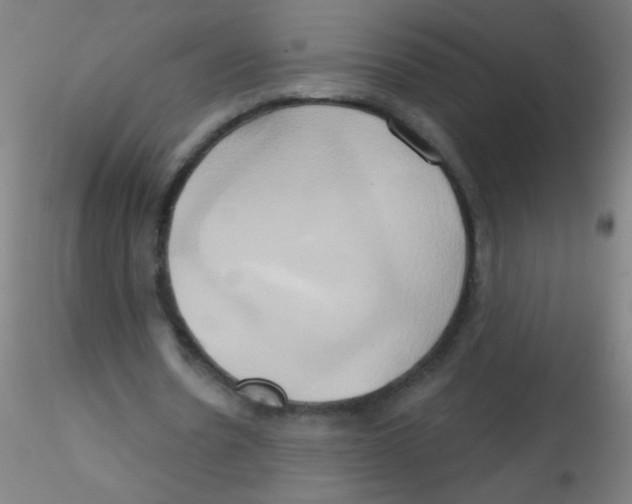 X0000115170530200911251336