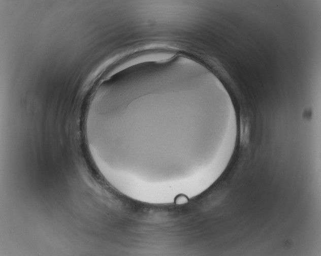 X0000115170531200911251336