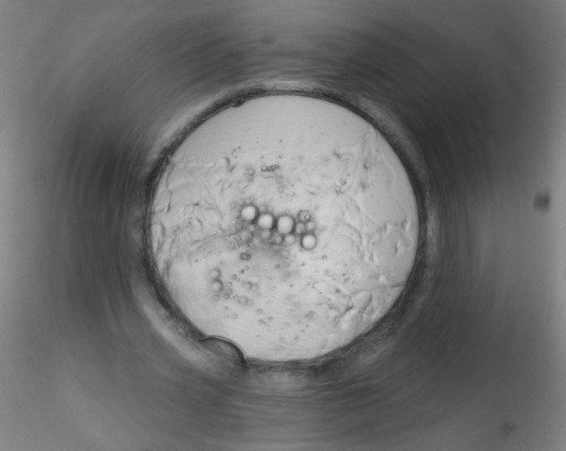 X0000115170533200911251336