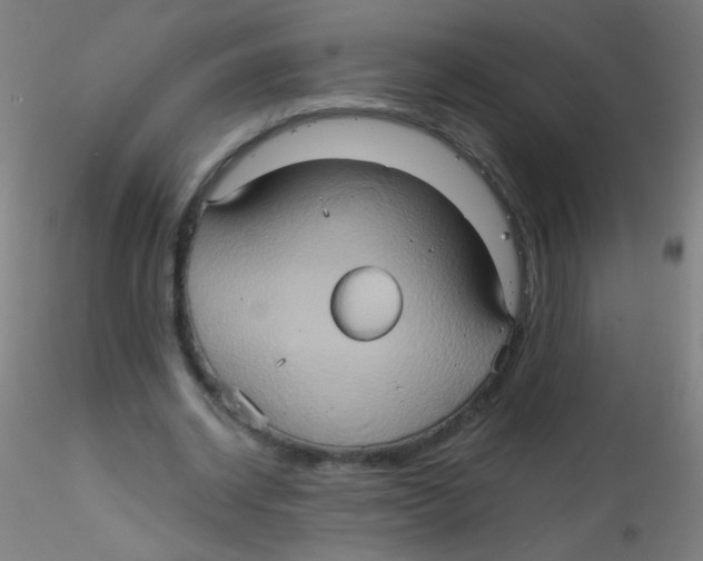 X0000115170534200911251336