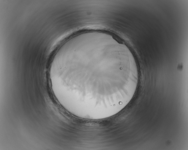 X0000115170535200911251336