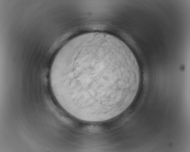 X0000115170537200911251336