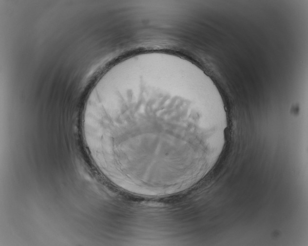 X0000115170539200911251336