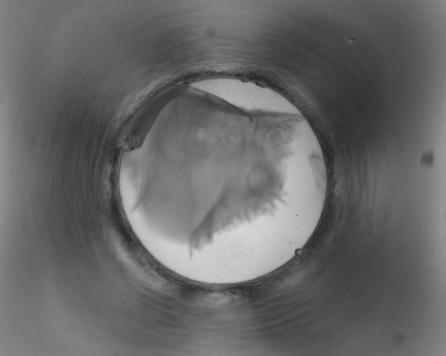 X0000115170542200911251336