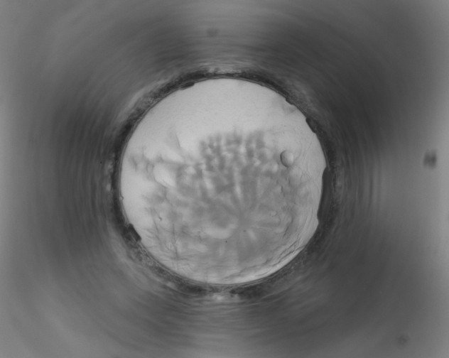 X0000115170543200911251336