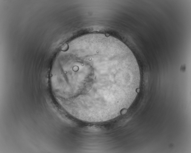 X0000115170545200911251336