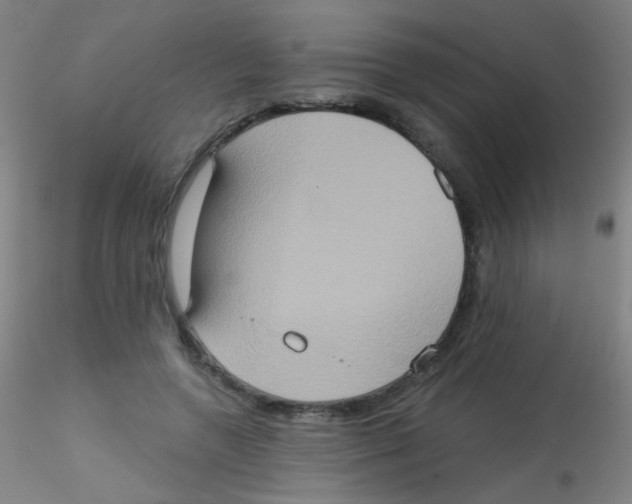 X0000115170546200911251336