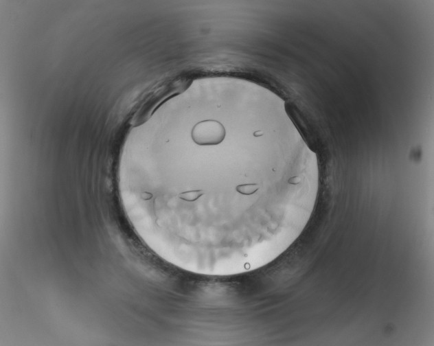 X0000115170547200911251336