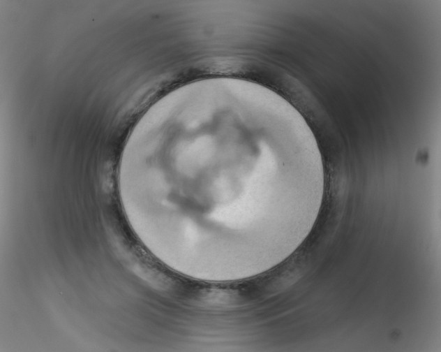 X0000115170549200911251336