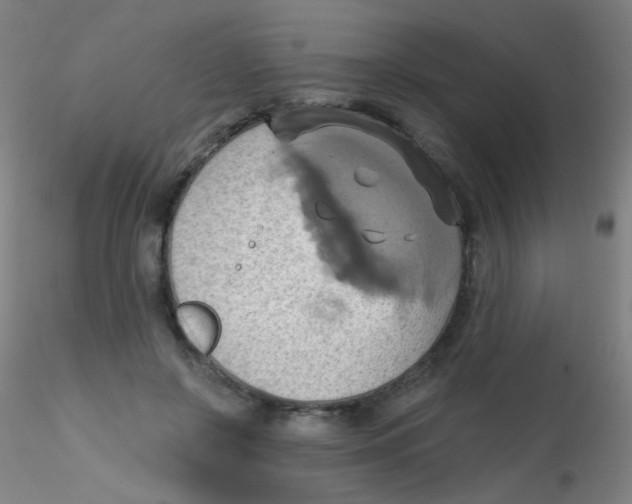 X0000115170550200911251336