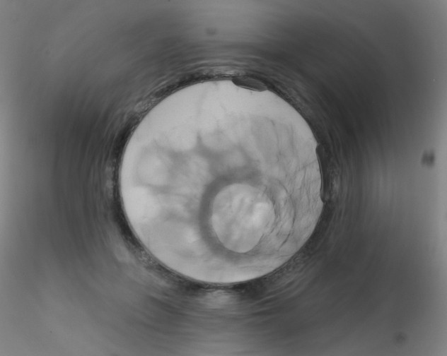 X0000115170551200911251336