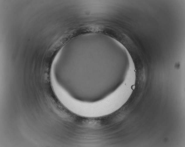 X0000115170553200911251336