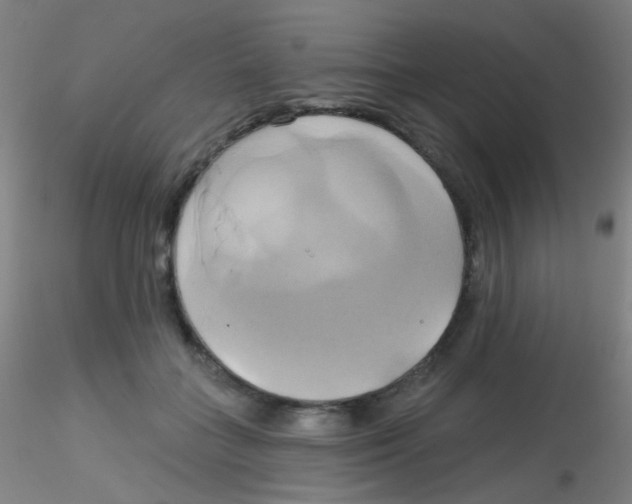 X0000115170555200911251336