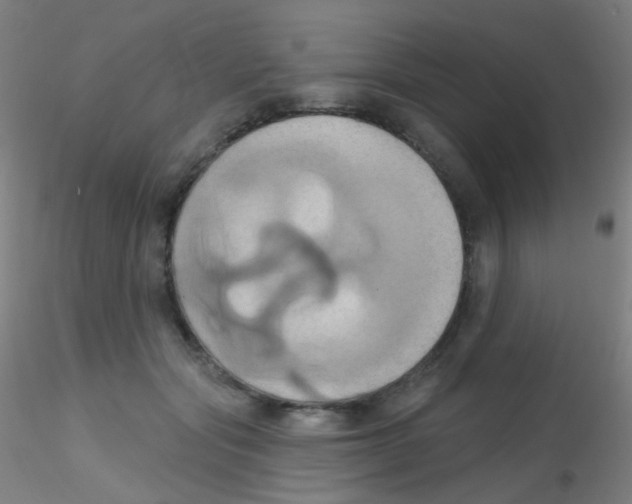 X0000115170557200911251336