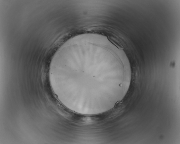 X0000115170558200911251336