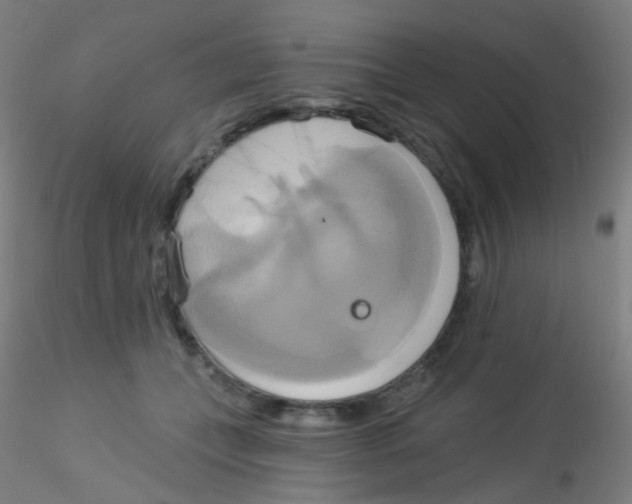 X0000115170559200911251336