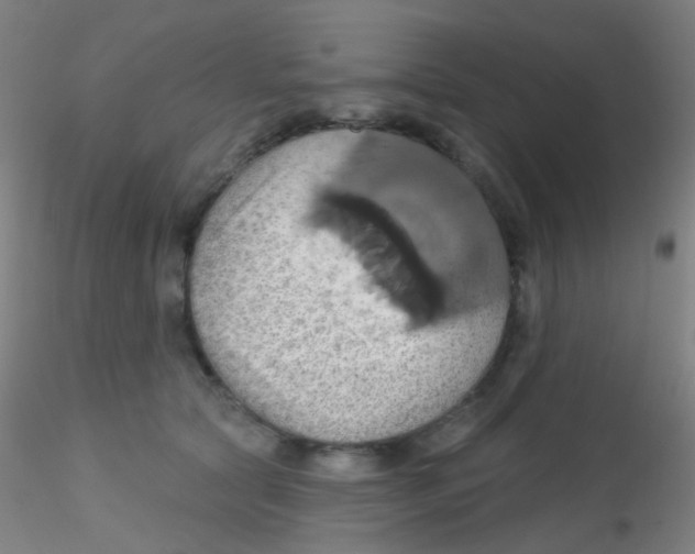 X0000115170561200911251336