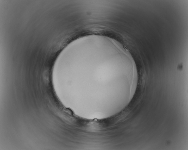 X0000115170562200911251336