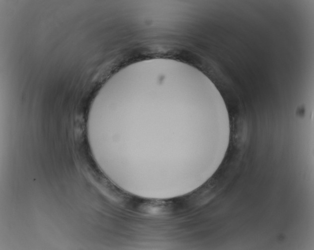 X0000115170563200911251336