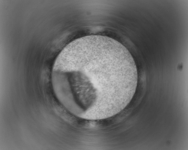 X0000115170565200911251336