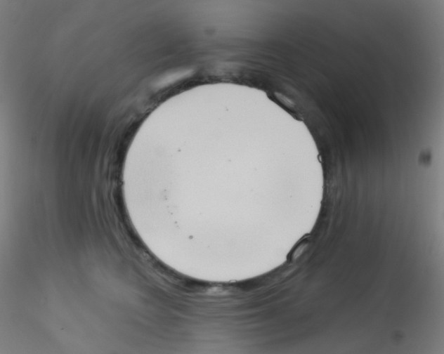 X0000115170566200911251336