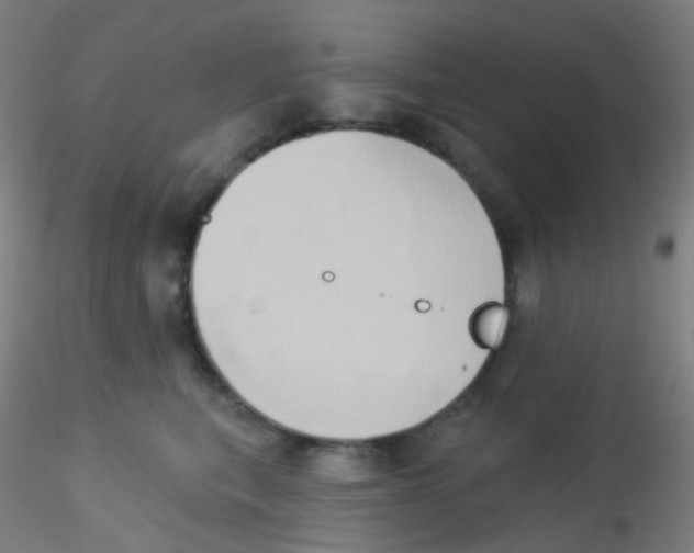 X0000115170567200911251336