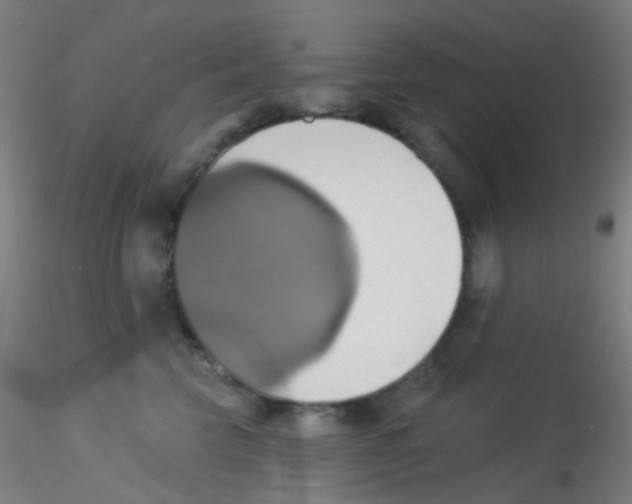 X0000115170569200911251336