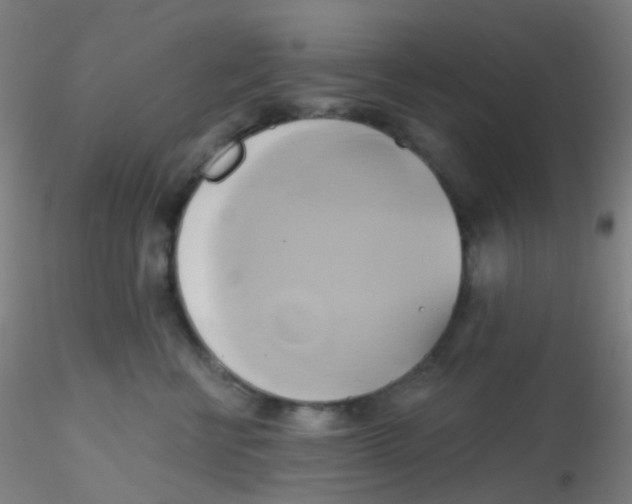 X0000115170570200911251336