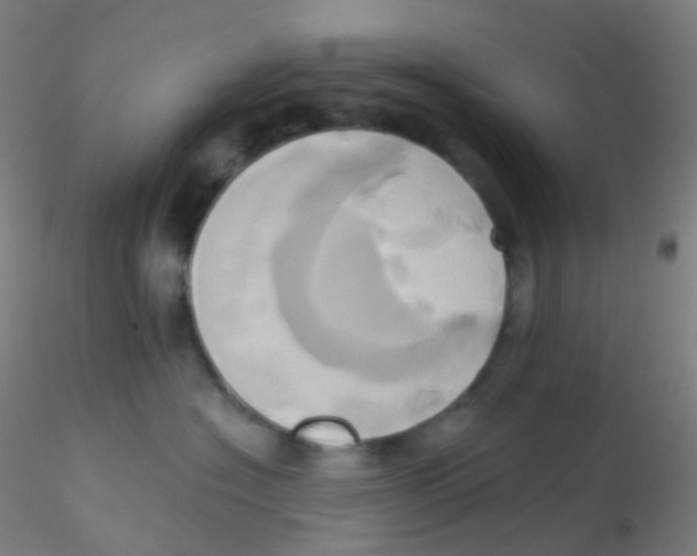 X0000115170574200911251336