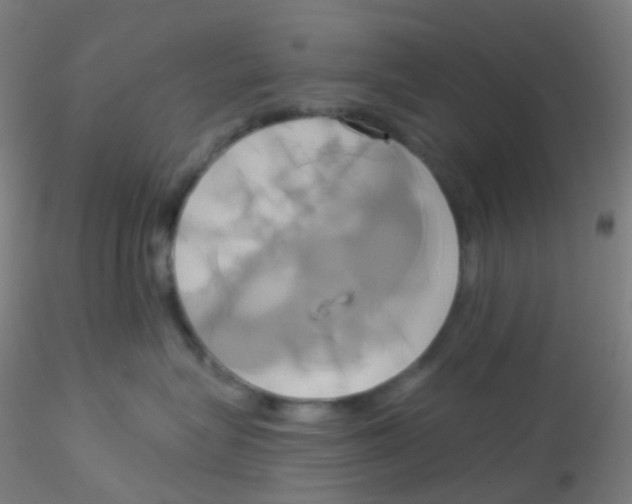 X0000115170575200911251336