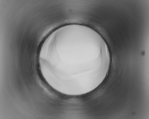 X0000115170578200911251336