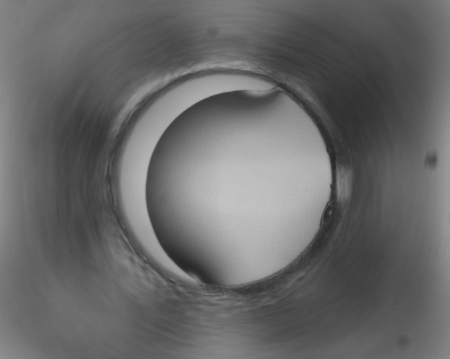 X0000115170579200911251336