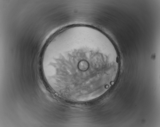 X0000115170580200911251336