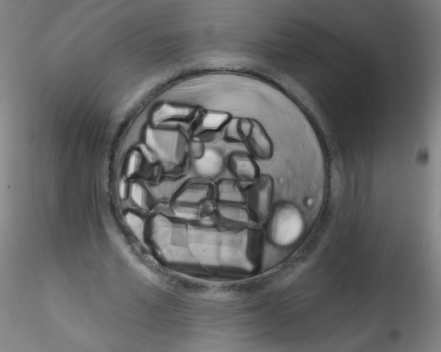 X0000115170581200911251336