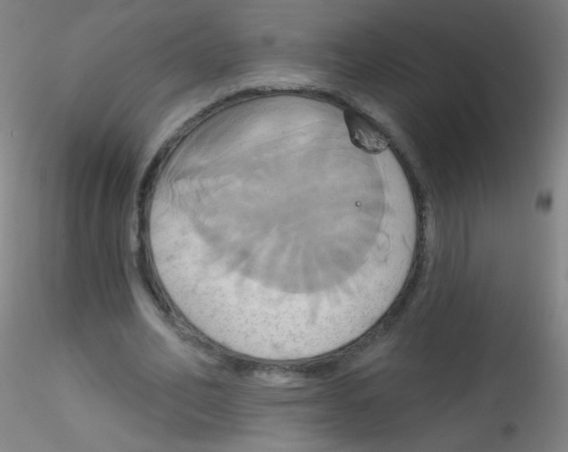 X0000115170582200911251336